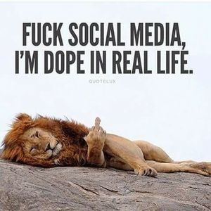 Meet your Posher, Simone